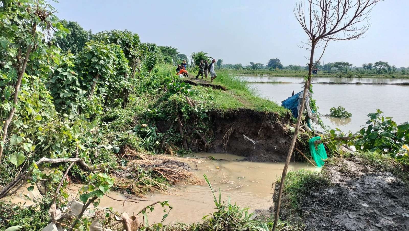 Kondisi tanggul Kali Plalangan yang jebol (Foto: Istimewa)