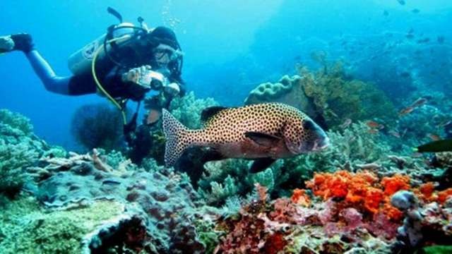 Kawasan perairan  laut Indonesia yang didalamnya terdapat aneka ragam biota laut. (Foto: dok/kkp)