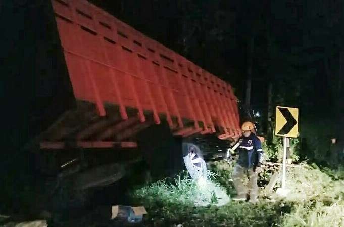 Anggota Satpol PP Bondowoso meninjau TKP truk angkut 20 ekor sapi di pinggir tikungan jalan Arak-Arak Kecamatan Wringin Bondowoso.(Foto: Satpol PP Bondowoso)