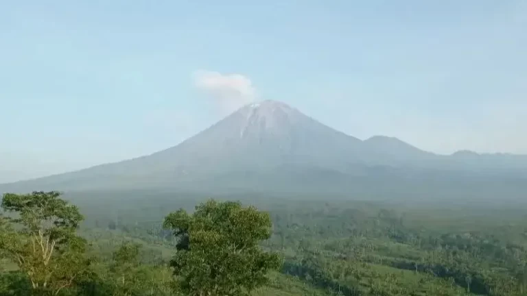 Aktivitas Gunung Semeru pada Sabtu, 25 Maret 2023 pukul 00.00-06.00 WIB terjadi sebanyak 21 kali gempa letusan atau erupsi dengan amplitudo 17-22 mm dengan lama gempa 75-155 detik. (Foto: PVMBG)