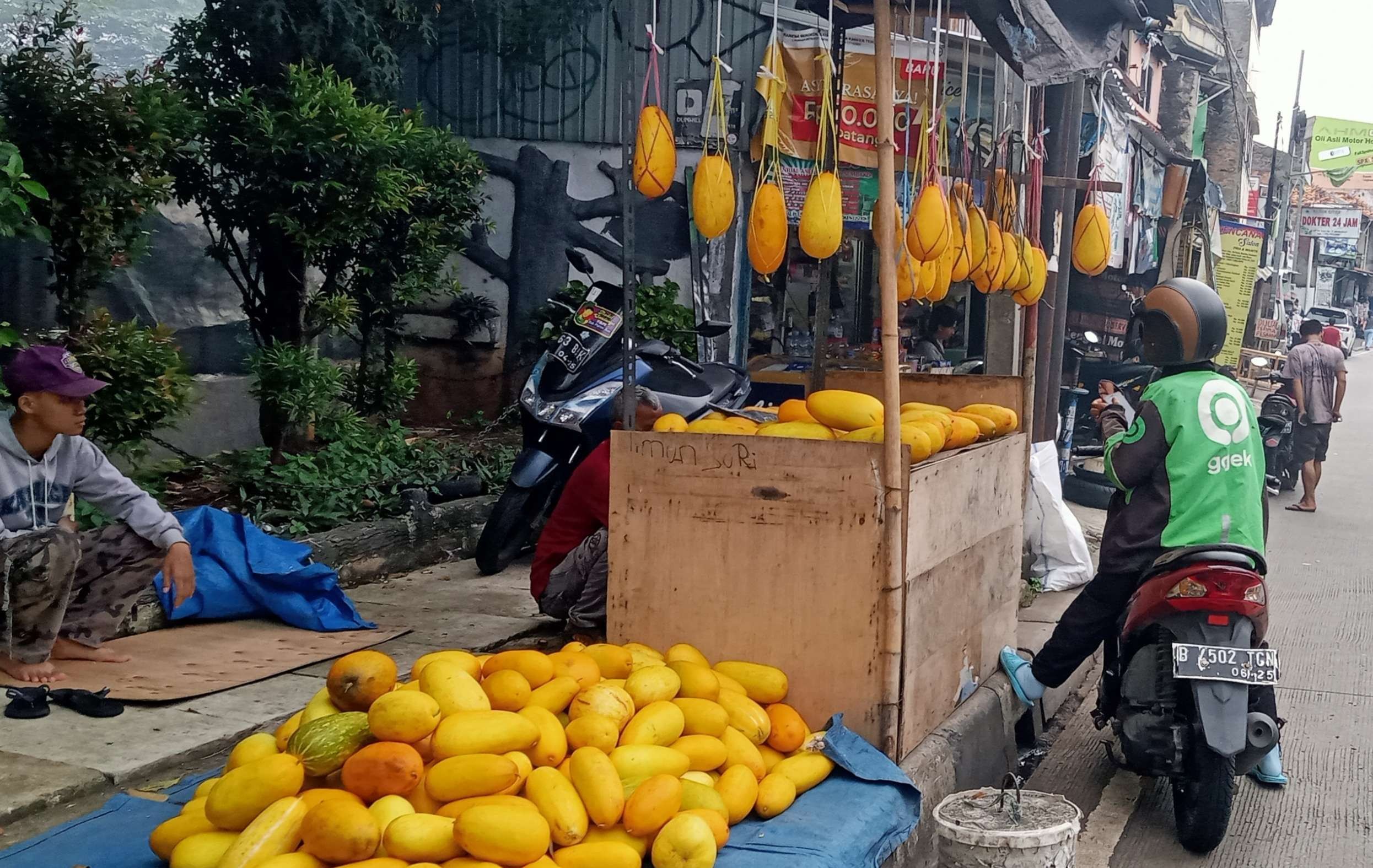 Petani timun suri gagal panen permintan tak bisa dipenuhi (Foto: Asmanu Sudharso/Ngopibareng.id )