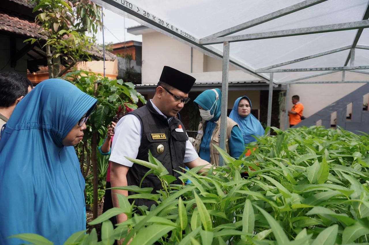 Pj Walikota Batu, Aries Agung Paewai saat melihat pekarangan rumah warga di Desa Pesanggrahan yang dimanfaatkan untuk pertanian (Foto: Diskominfo Kota Batu)