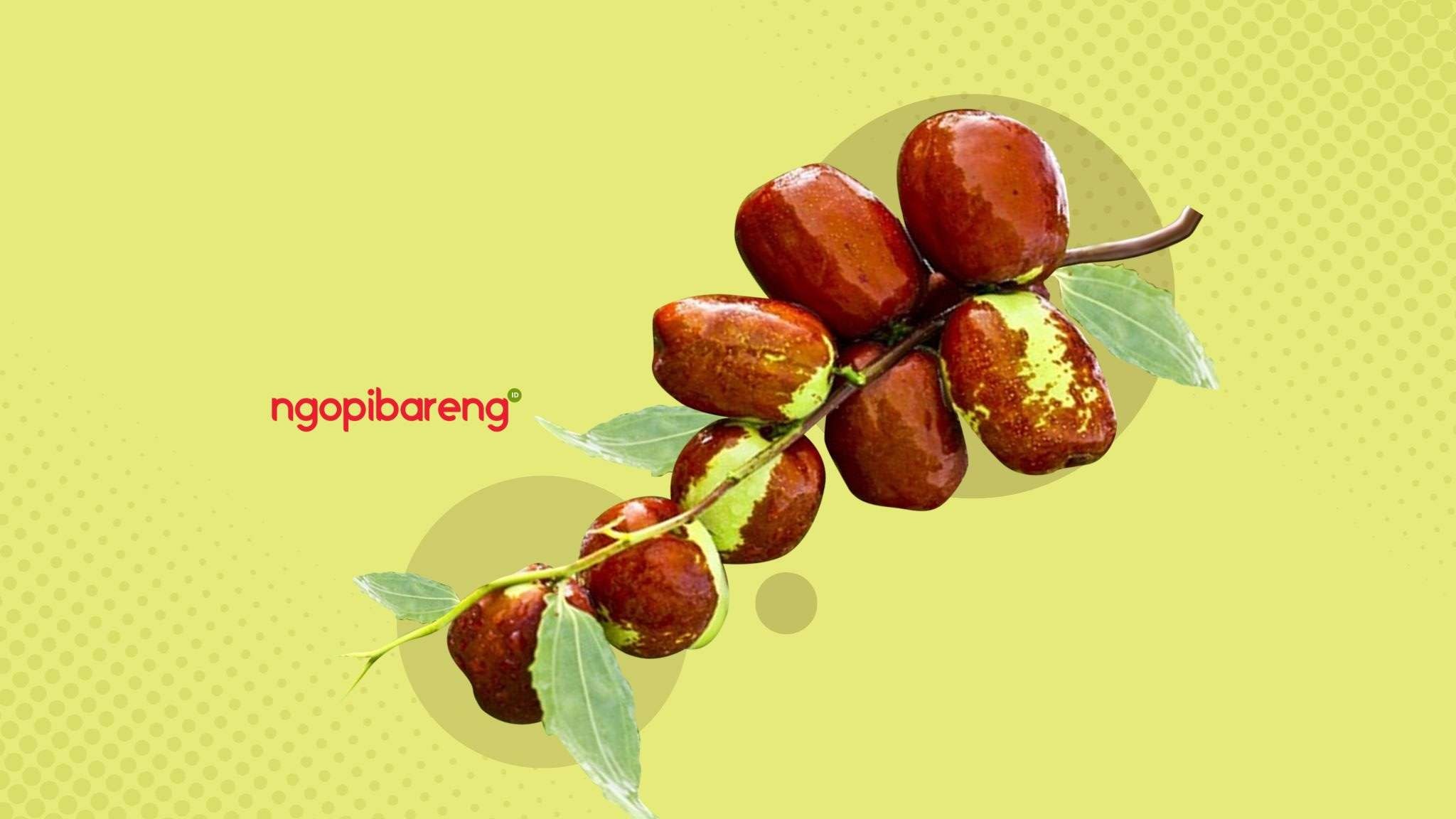 Empat manfaat jujube, kurma China yang kaya manfaat. (Ilustrasi: Fa-Vidhi/Ngopibareng.id)