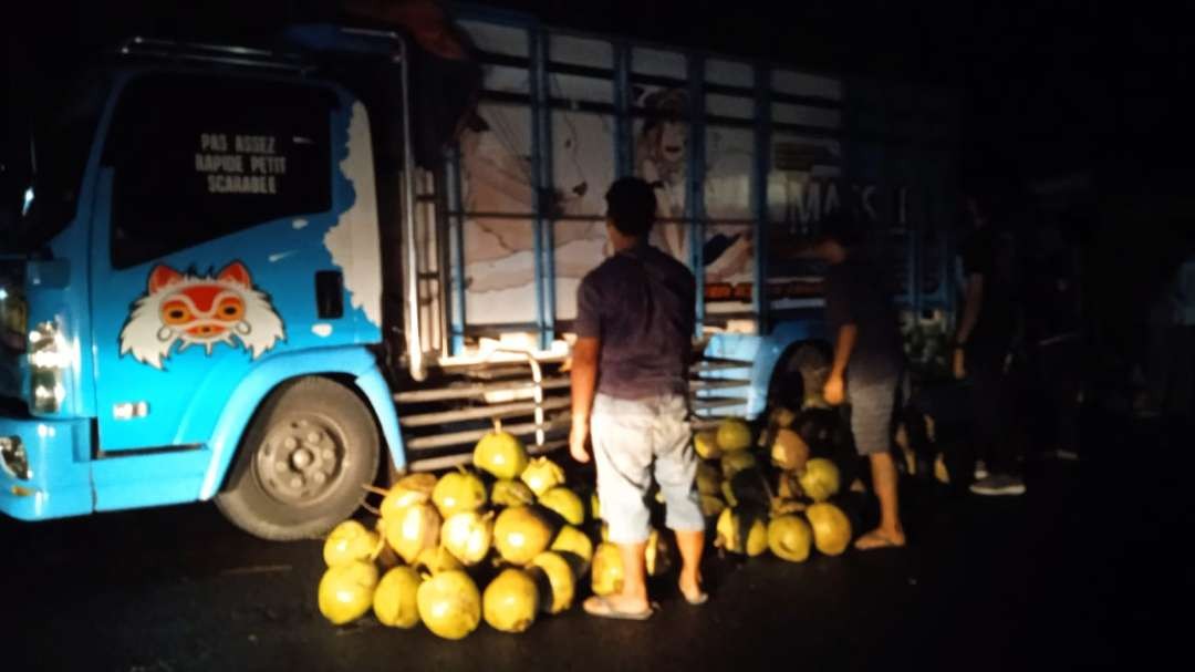 Kelapa muda atau degan yang didatangkan dari Lumajang untuk konsumsi selama. Ramadan di Lamongan (Foto: Imron Rosidi/ngooibareng.id)