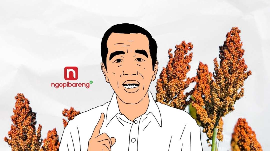 Presiden Jokowi gencar canangkan gerakan tanam sorgum. (Ilustrasi: Fa Vidhi/Ngopibareng.id)