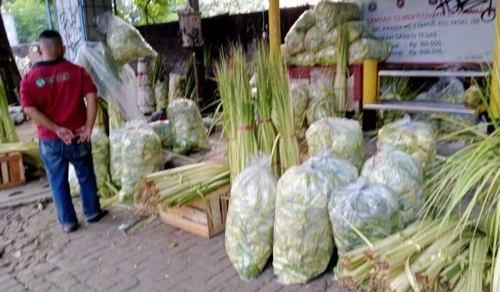 Anyaman ketupat dari janur untuk menyambut tradisi kupatan sudah mulai dijual di pasar ( foto: Asmanu Sudharso/ngopibareng.id)