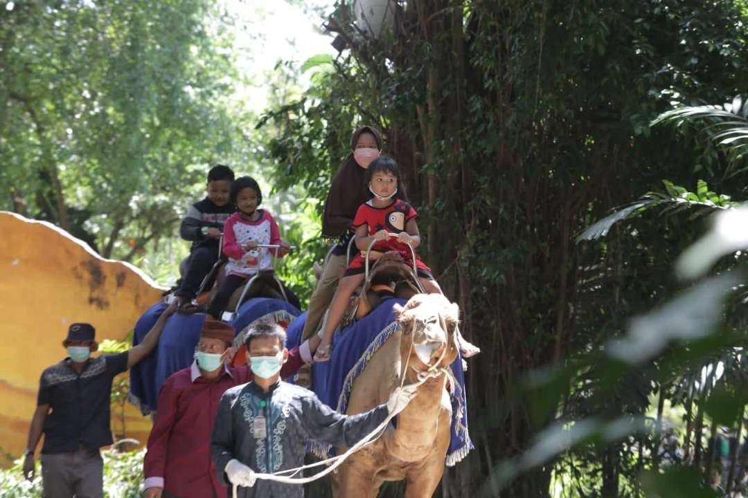 Tunggang unta di KBS Surabaya yang banyak dikunjungi saat libur Hari Raya Idul Fitri. (Foto: Pita Sari/Ngopibareng.id)