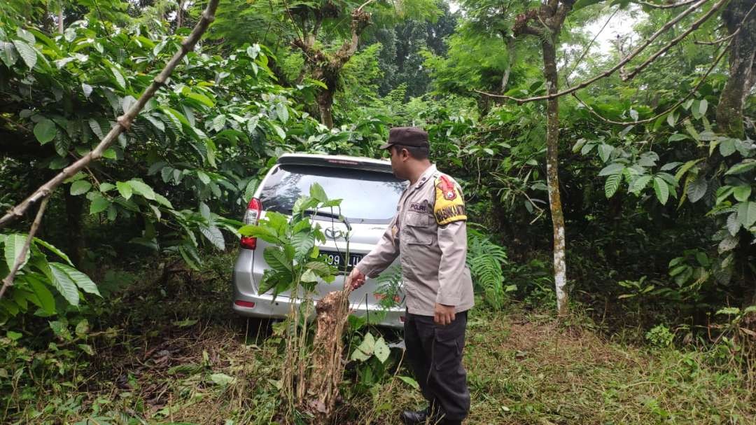 Mobil yang membawa penumpang WNA terperosok ke kebun di jalur Ijen Banyuwangi (Foto: istimewa)