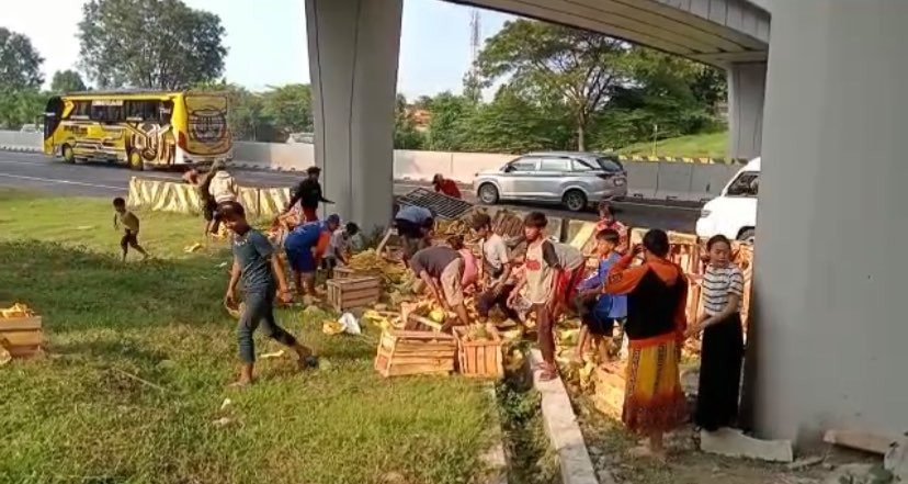 Sejumlah warga mengambil buah yang tercecer (Foto: dok. Istimewa)