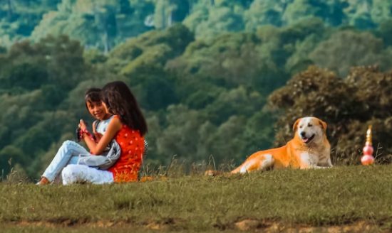 Bocah berusia 4 tahun, warga Desa Habi, Kecamatan Kangae, Kabupaten Sikka, Nusa Tenggara Timur (NTT), meninggal setelah terpapar rabies. (Ilustrasi: Unsplash)