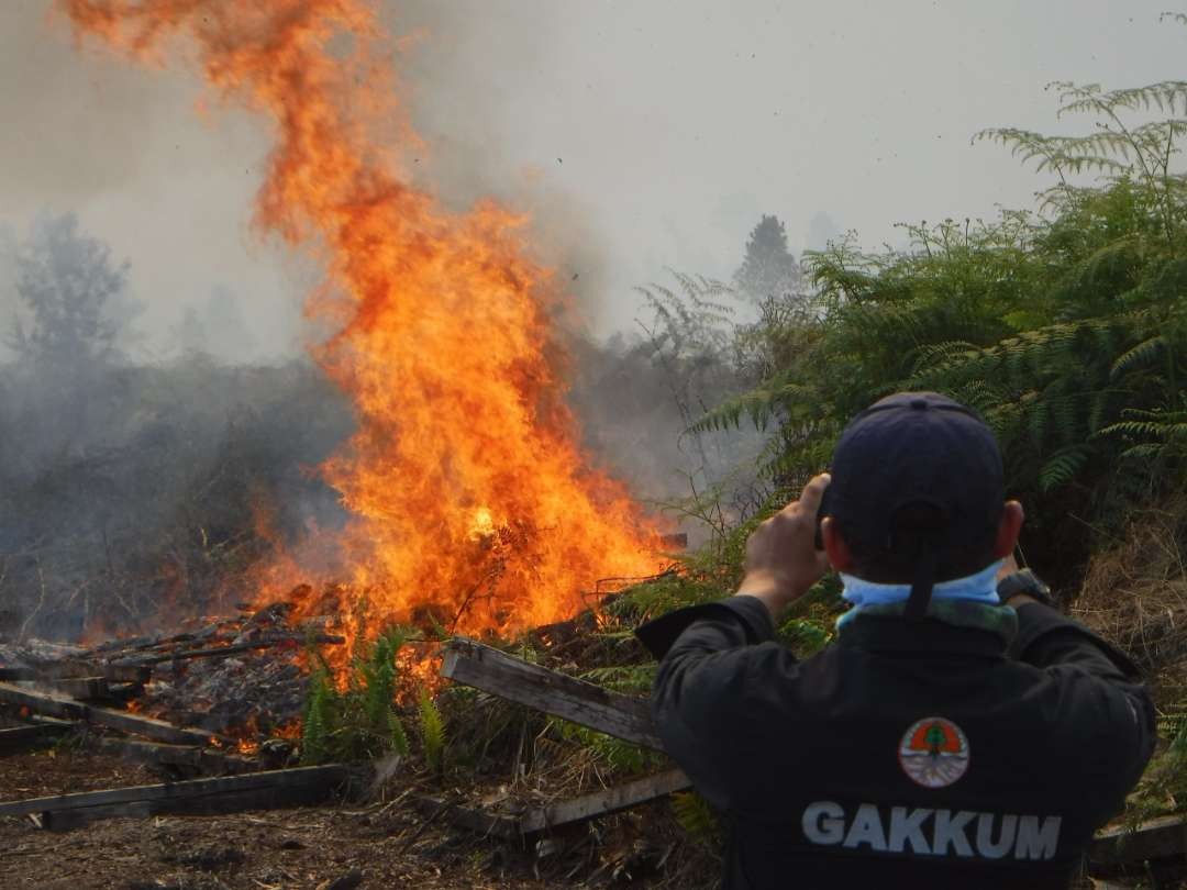 Kasus kebakaran hutan seluas 274 hektare di Kabupaten Kubu Raya, Provinsi Kalimantan Barat. (Foto: dok: menlhk)