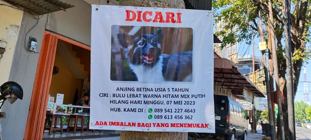 Cari anjing hilang pakai jasa cenayang dan ada hadiah bagi yang bisa menemukan. (Foto: Fendi Lesmana/Ngopibareng.id)