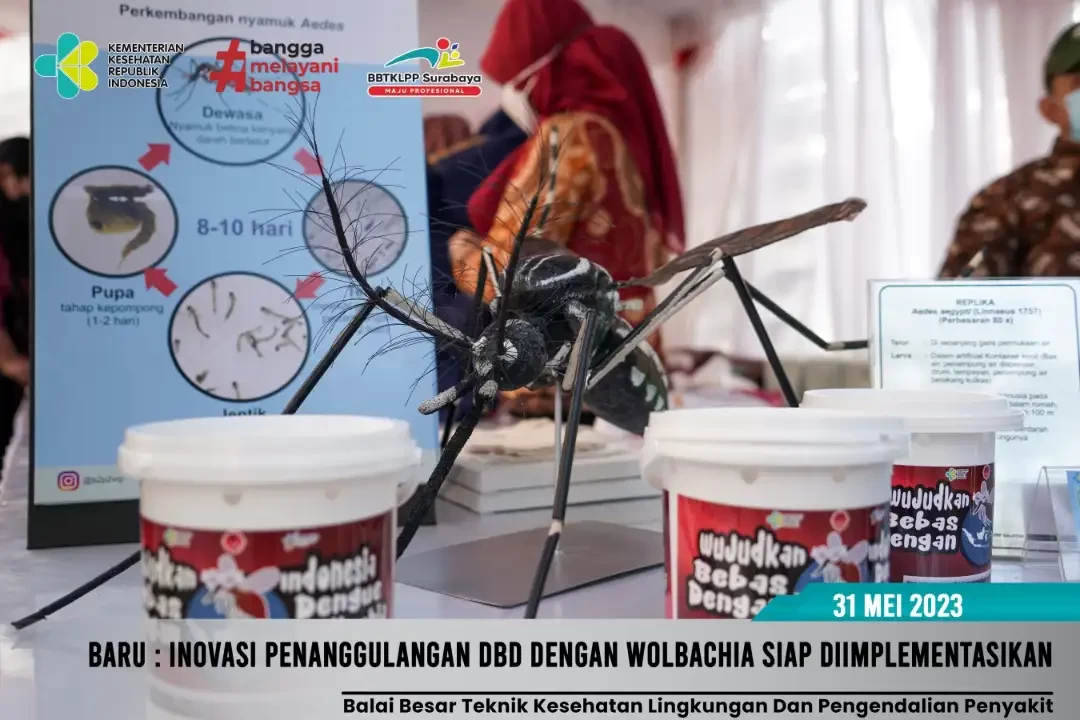 Metode wolbachia sebuah cara penanggulangan DBD yang dikembangkan Kementerian Kesehatan RI. (Grafis: btklsby)