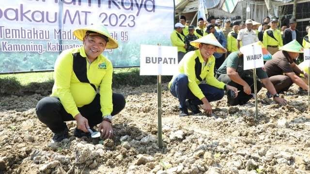 Tanam raya tembakau. Bupati  Sampang H. Slamet Junaidi dan Wakil Bupati Sampang H. Abdullah Hidayat melakukan tanam raya tembakau musim tanam 2023 di Desa Kamoning Kecamatan Sampang Kota, Selasa 13 Juni 2023. (Foto: dok. Prokopim Pemkab)