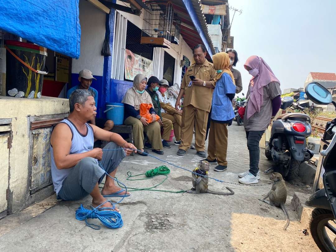 DKPP Kota Surabaya saat lakukan penelusuran monyet yang serang dua bocah. (Foto: Pita Sari/Ngopibareng.id)