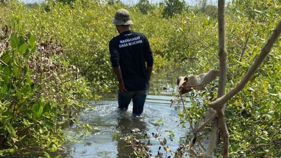 Tanaman mangrove jenis api-api di Pantai Permata, Kelurahan Pilang, Kecamatan Kademangan, Kota Probolinggo yang dibabat. (Foto: Istimewa)