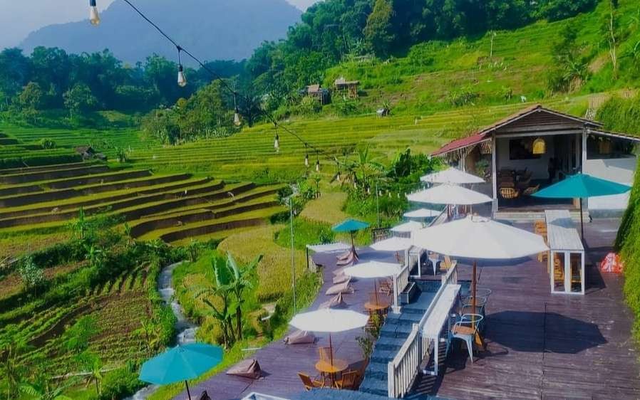 Pemandangan sawah terasering mirip di Ubud Bali. (Foto Deni Lukmantara/Ngopibareng)