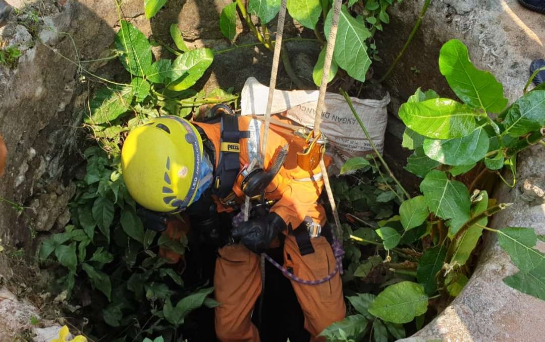 Proses evakuasi dua ekor kucing yang terjebak di dalam sumur (Dok. BPBD Tuban)