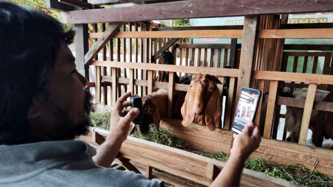 Jamal saat melakukan promosi hewan kurban dagangannya melalui media sosial. (Foto: Fariz Yarbo/Ngopibareng.id)