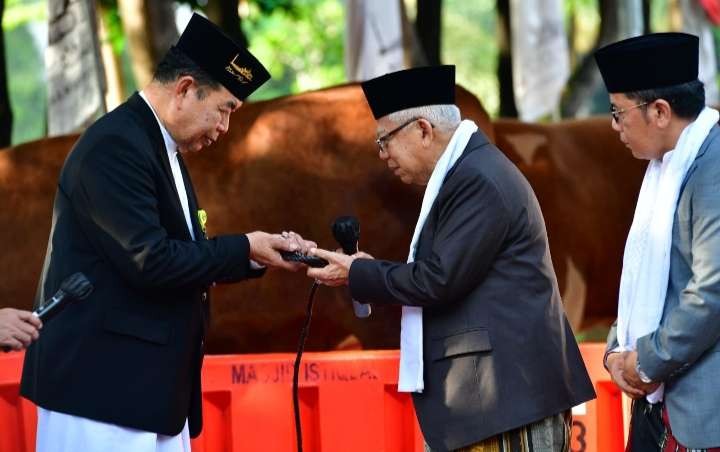 Seledau salat Idul Adha, wapres menyerahkan seekor sapi limousin seberat 1,175 ton kepada  Plt Ketua Harian Masjid Istiqlal Laksma TNI (Purn) Asep Saepudin untuk dibagikan kepada masyarakat yang kurang mampu ( foto: Setwapres ).