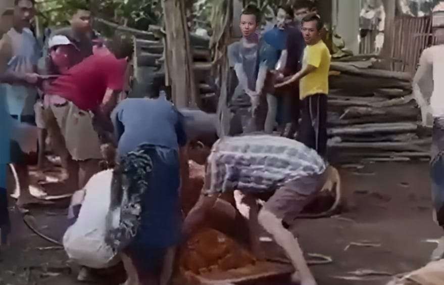 Detik-detik Sholeh meninggal saat proses penyembelihan hewan kurban (Foto: Tangkap layar video)