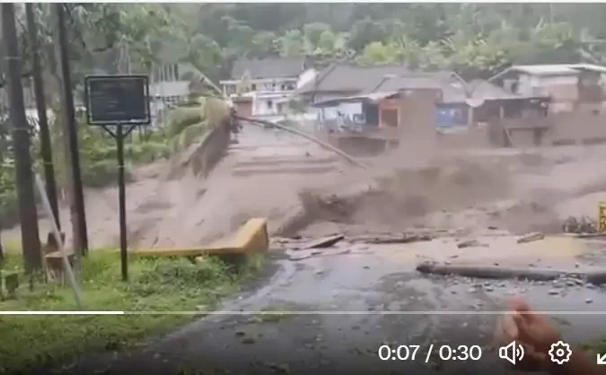 Sejumlah video yang menunjukkan luapan air sungai menutup jembatan di Lumajang, beredar di media sosial. Banjir juga menerjang ternak. (foto: Twitter)