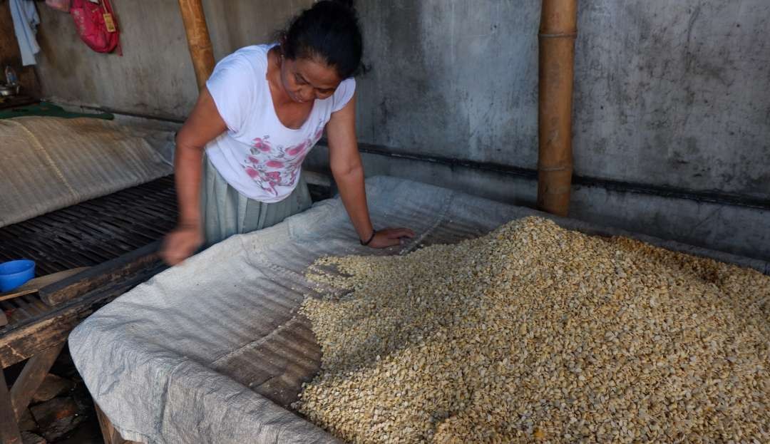 Warga di Kelurahan Sumbertaman, Kecamatan Wonoasih, Kota Probolinggo sedang memproduksi tempe. (Foto: Ikhsan Mahmudi/Ngopibareng.id)