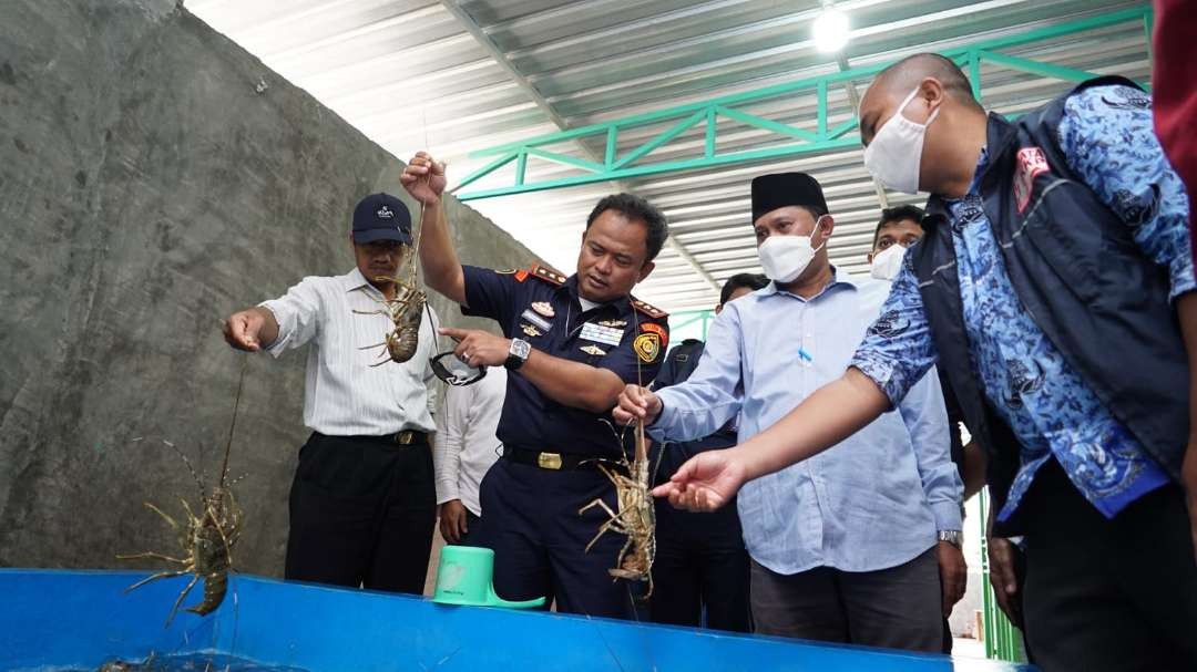 Tim Kementerian Kelautan dan Perikanan mengidentifikasi penyelundupan benih lobster  ke sejumlah negara. (Foto: humas kkp)