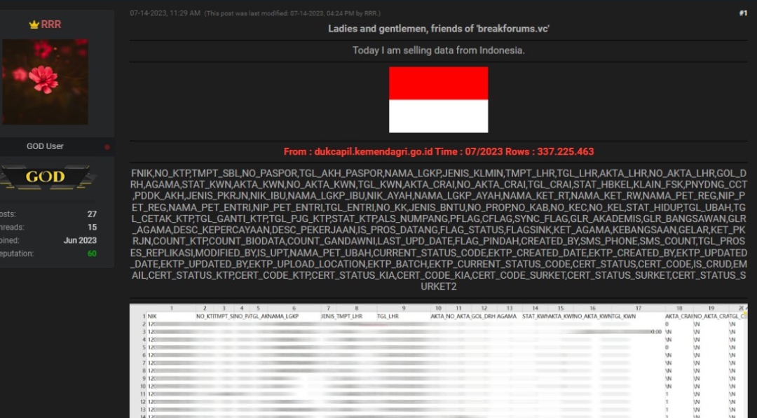 Sebanyak 337 data pribadi warga Indonesia yang direkam Dinas Kependudukan dan Catatan Sipil, dibobol dan dijual di internet. (Foto: Twitter @secgron)