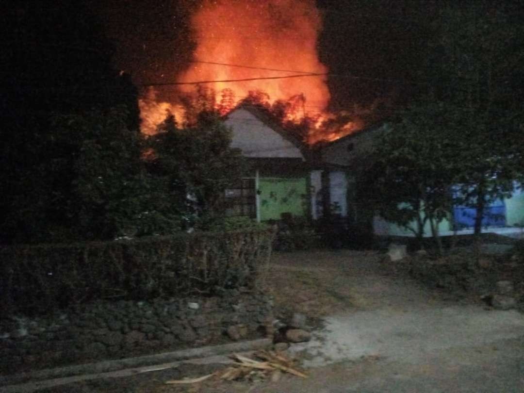 Kandang ayam di Mojokerto Terbakar belasan ribu ayam terbakar.(Foto istimewa)