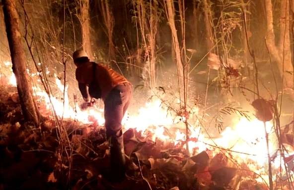 Petugas BPBD Situbondo berupaya memadamkan api, yang membakar hutan jati Gunung Gundil di Desa Klatakan, Kecamatan Kendit dengan cara digepyok. (Foto: BPBD Situbondo)