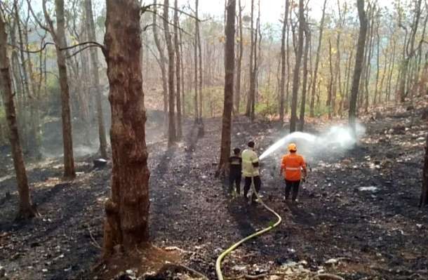 Anggota Damkar Bondowoso melakukan pembasahan laham hujan jati di Arak-arak Kecamatan Wringin Bondowoso yang terbakar.(Foto:Guido/Ngopibareng.id)