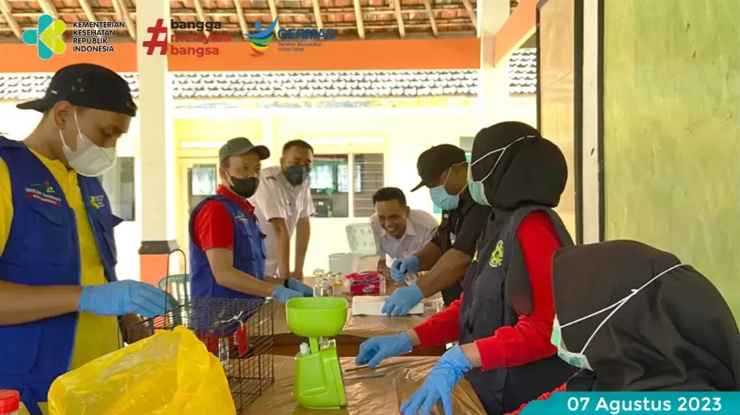 Surveilans tikus dan deteksi dini penyakit leptospirosis oleh tim BBTKLPP dengan sampel di Desa Sebaung, Gending, Kota Probolinggo, pada 1-4 Agustus 2023 lalu. (Foto: dok. bbtklpp)