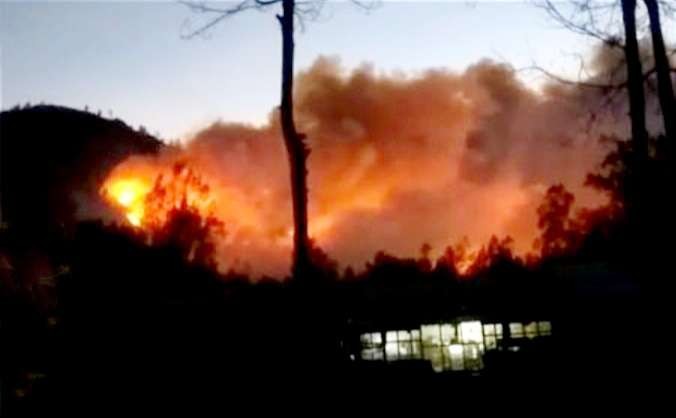 Hutan Kawah Wurung di Kecamatan Sempol Ijen Bondowoso seluas 20 hektar terbakar, Rabu 9 Agustus 2023 sore hingga malam.(Foto: Humas Perhutani Bondowoso)