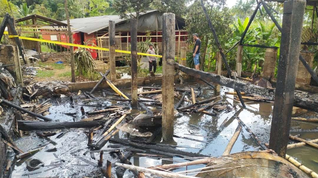 Kondisi kandang ayam yang terbakar (foto: istimewa)