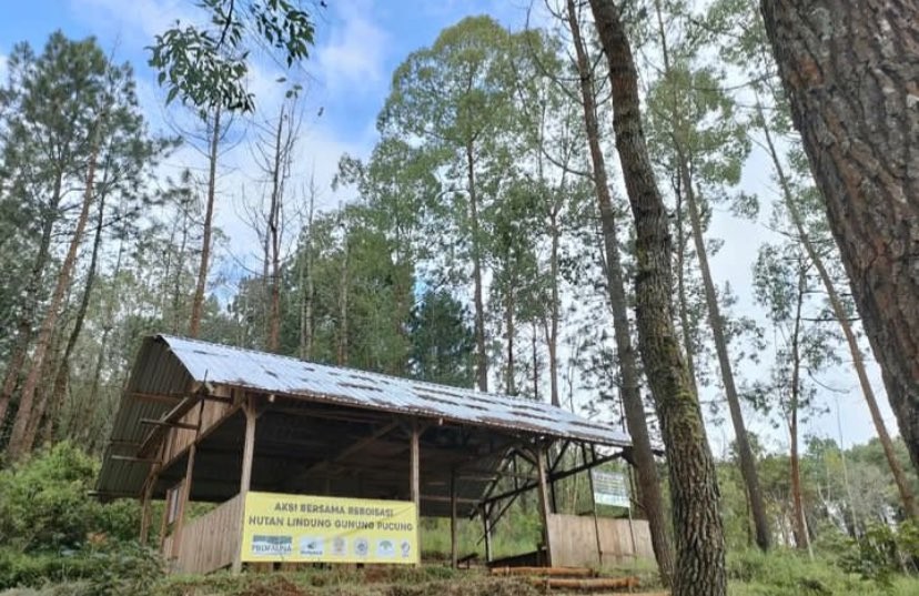 Pos pantau di hutan lindung Gunung Pucung, Kota Batu, Jawa Timur (Foto: Instagram/@Profauna_indonesia)