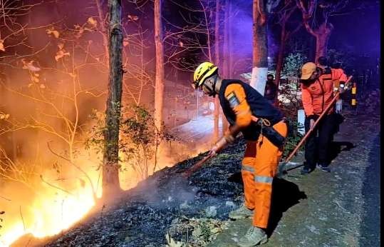 Anggota Damkar Satpol PP dan BPBD Bondowoso dibantu Koramil dan Polsek sempat kesulitan memadamkan api membakar hutan jati di pinggir jalan Arak-arak Wringin yang miring dan terjal.(Foto:BPBD Bondowoso)