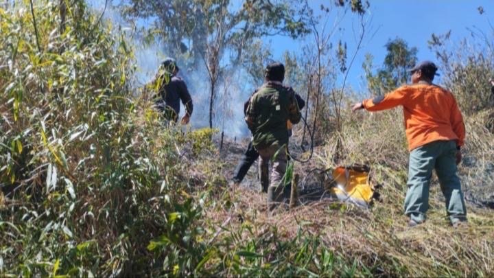 Kebakaran hutan dan lahan di Gunung Semeru. (Foto: BB TNBTS)