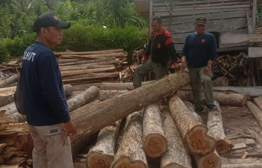 Kayu jati yang diamankan dari sekitar rumah tersangka di Banyuwangi (foto: istimewa)