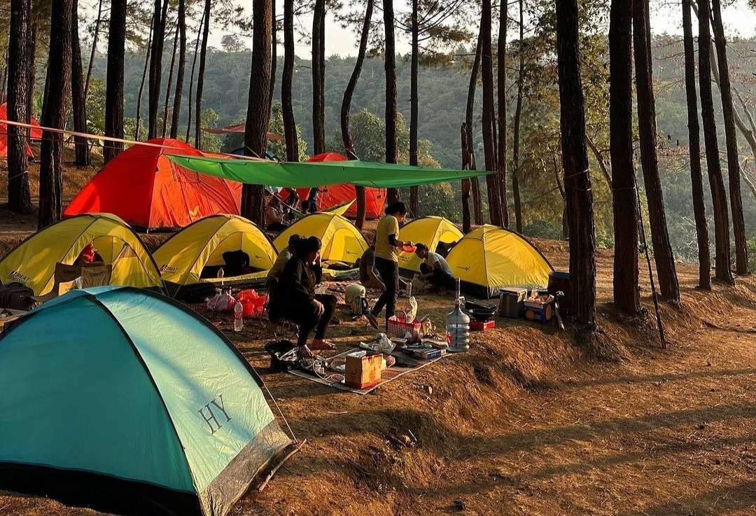 Camping Ground Alas Veenuz Trawas. (Foto Instagram Alas Veenuz)