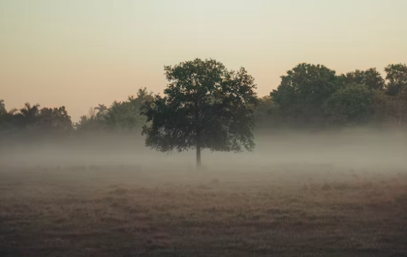 Cuaca di Jawa Timur didominasi kondisi cerah dan berawan sepanjang Jumat, 1 September 2023. Sejumlah wilayah memiliki suhu cukup dingin. (Foto: Unsplash)