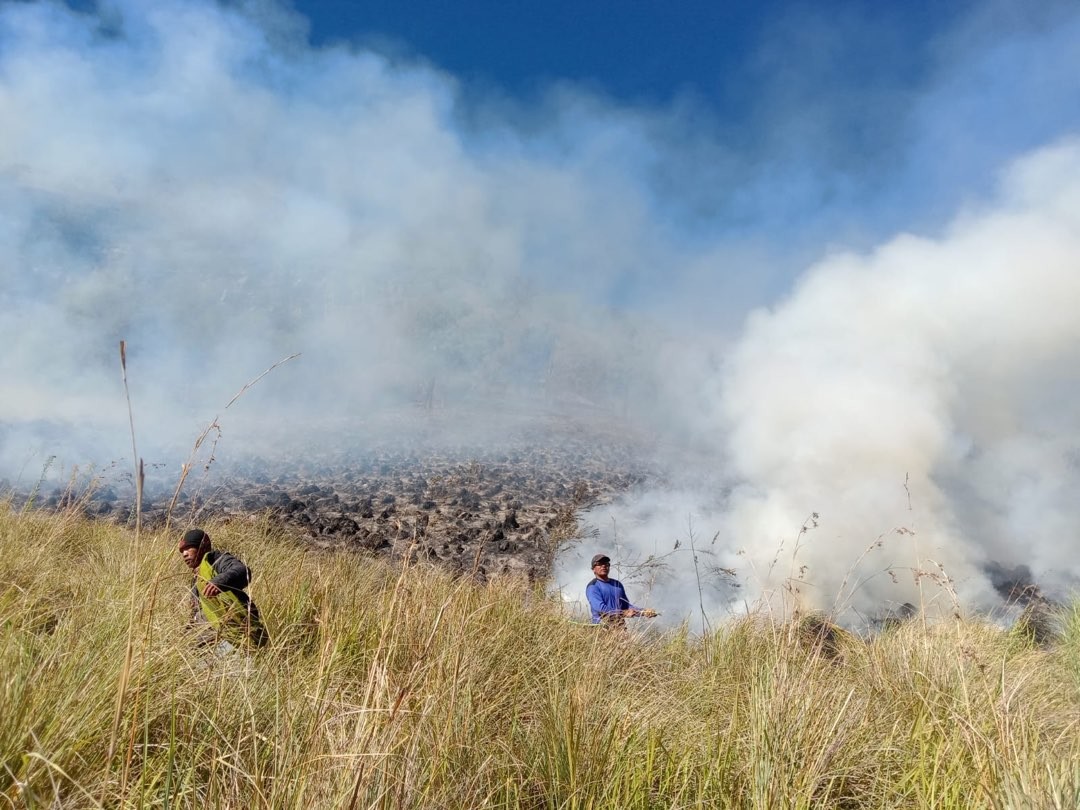 Proses pemadaman kebakaran hutan dan lahan di Gunung Semeru (Foto: BB TNBTS)