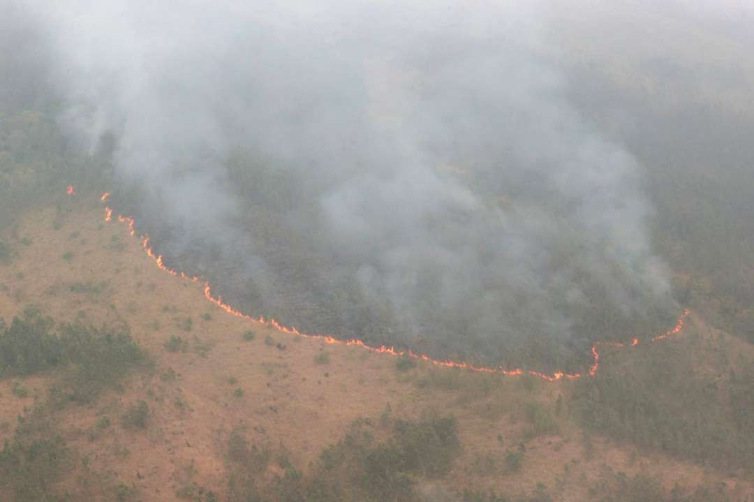 Gambar udara kebakaran di Gunung Arjuno. (Foto: Ist)