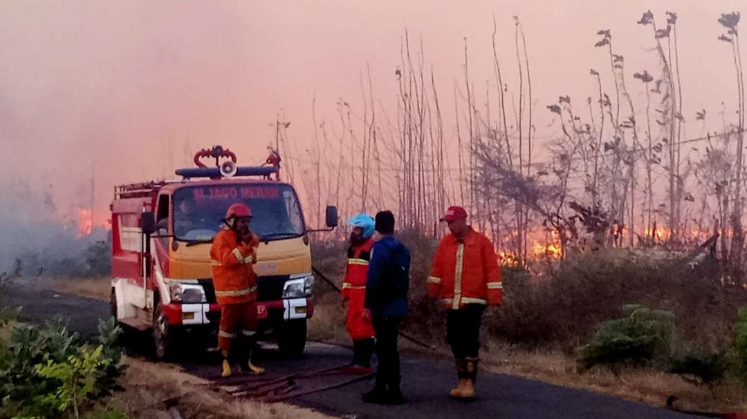 Petugas Pemadam Kebakaran Tuban melakukan upaya pemadaman api. (Foto: Khoirul Huda/Ngopibareng.id)