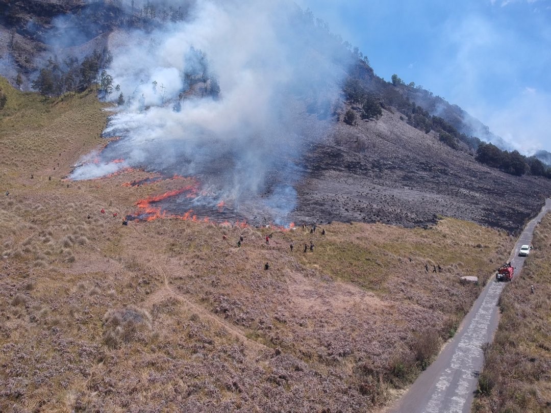 Kebakaran di wilayah Taman Nasional Bromo Tengger Semeru (Foto: BB TNBTS)