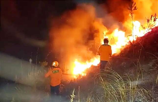 Padang rumput objek wisata alam Kawah Wurung Ijen Sempol Bondowoso rentan kebakaran di musim kemarau. (Foto: Satpol PP Damkar Bondowoso)