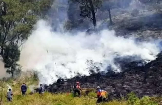 Kepala Badan Nasional Penanggulangan Bencana (BNPB) Letjen TNI Suharyanto mendorong pembentukan Satgas Darat yang melibatkan personel dari unsur forkopimda untuk tangani kebakaran di Bromo. (Foto: BPBD Probolinggo).