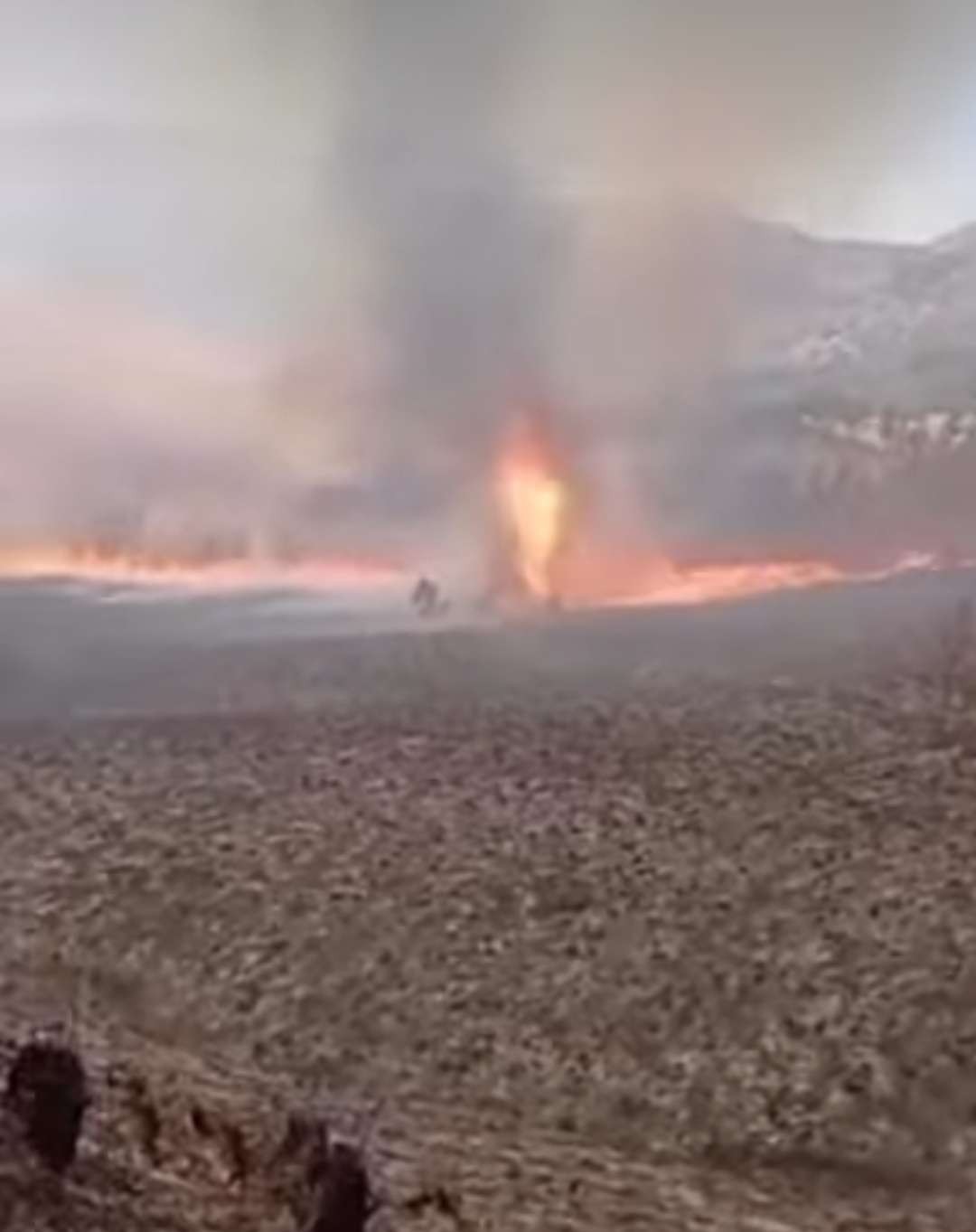 Penampakan tornado api di Bukit Teletubbies Bromo, usai kebakaran lahan akibat prewedding pakai flare. (Foto: Istimewa)