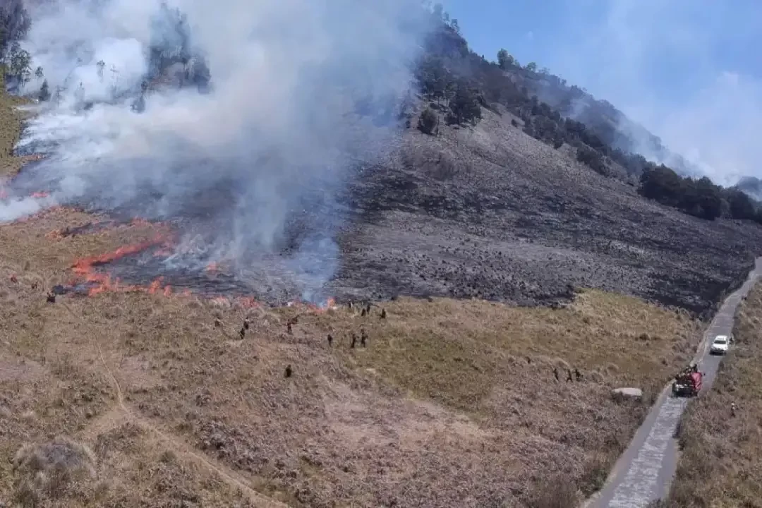 BB TNBTS menyatakan bahwa kerusakan akibat kebakaran hutan dan lahan di kawasan Gunung Bromo, Jawa Timur, diperkirakan mencapai 504 hektare. (Foto: Dok TNBTS)