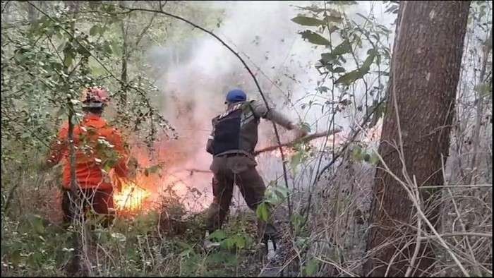 Kawasan hutan Trenggalek yang terbakar. (Foto: dok bpbd trenggalek)